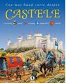Copertă produs Cea mai bună carte despre CASTELE - thumb 1