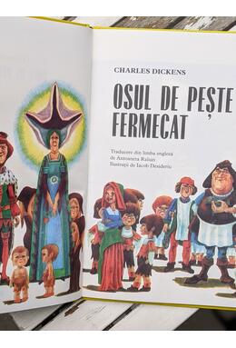 Copertă produs Osul de pește fermecat