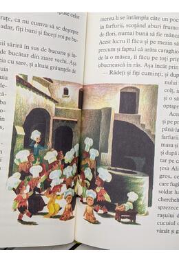 Copertă produs Osul de pește fermecat