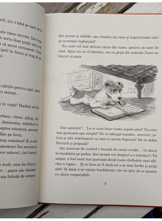 Copertă produs Viață de c&acirc;ine: Jurnalul foxului Miki - gallery big 5