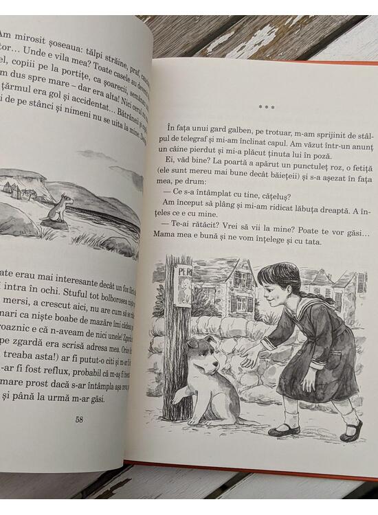 Copertă produs Viață de c&acirc;ine: Jurnalul foxului Miki - gallery big 6