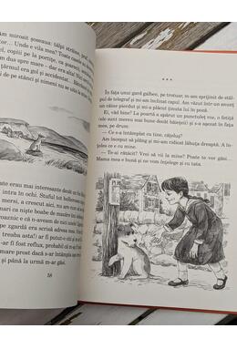 Copertă produs Viață de c&acirc;ine: Jurnalul foxului Miki