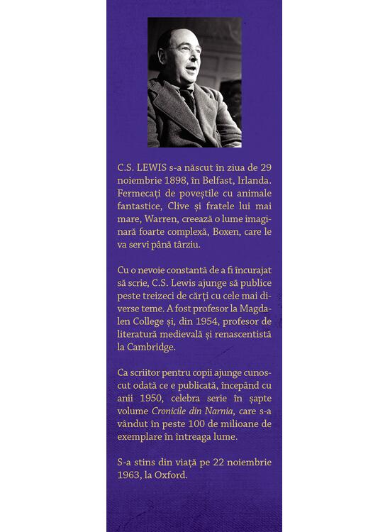 Copertă produs Cronicile din Narnia VI. Jilțul de argint - gallery big 4