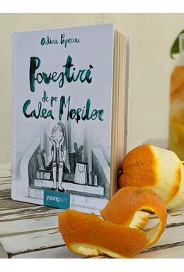 Copertă produs Povestiri de pe Calea Moșilor