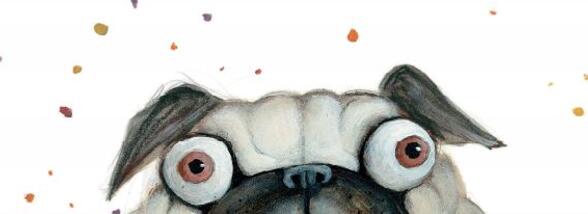 Cel mai egoist c&acirc;ine din lume &icirc;nvață o lecție importantă despre cum să &icirc;mparți cu ceilalți