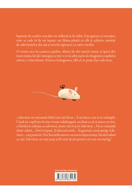 Copertă produs Iepurele de catifea | ilustrații de Dan Ungureanu