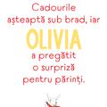 Copertă produs Olivia se pregătește de Crăciun - gallery small 