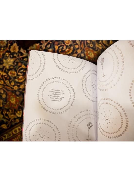 Copertă produs Micul Prinț - carte de colorat care să te pună pe g&acirc;nduri - gallery big 5