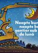 Noapte bună, noapte bună, șantier sub clar de lună