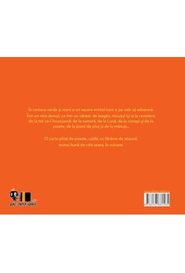 Copertă produs Noapte bună, Lună