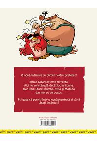 Copertă produs Angry Birds