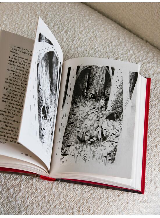 Copertă produs Pax - gallery big 4