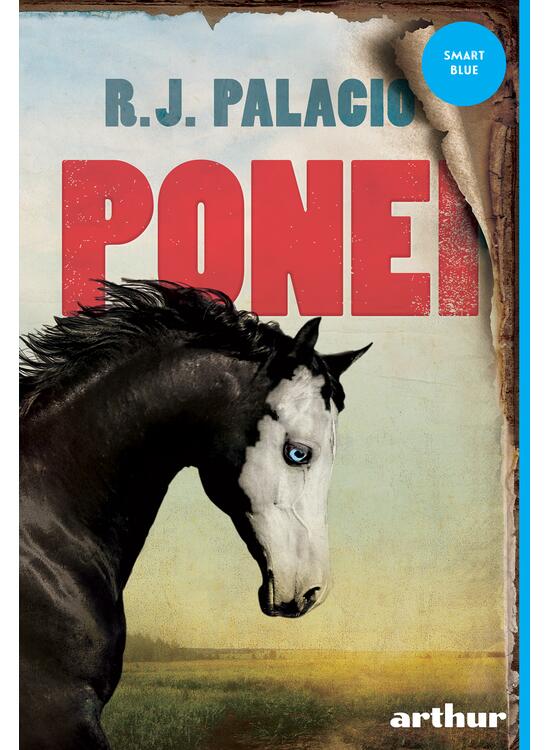 Copertă produs Ponei - gallery big 1