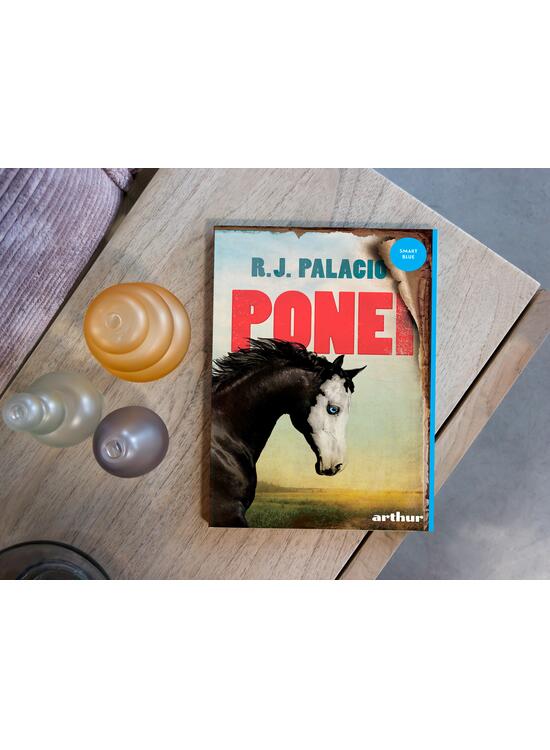 Copertă produs Ponei - gallery big 7