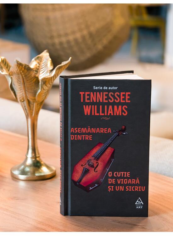 Copertă produs Asemănarea dintre o cutie de vioară și un sicriu - gallery big 3