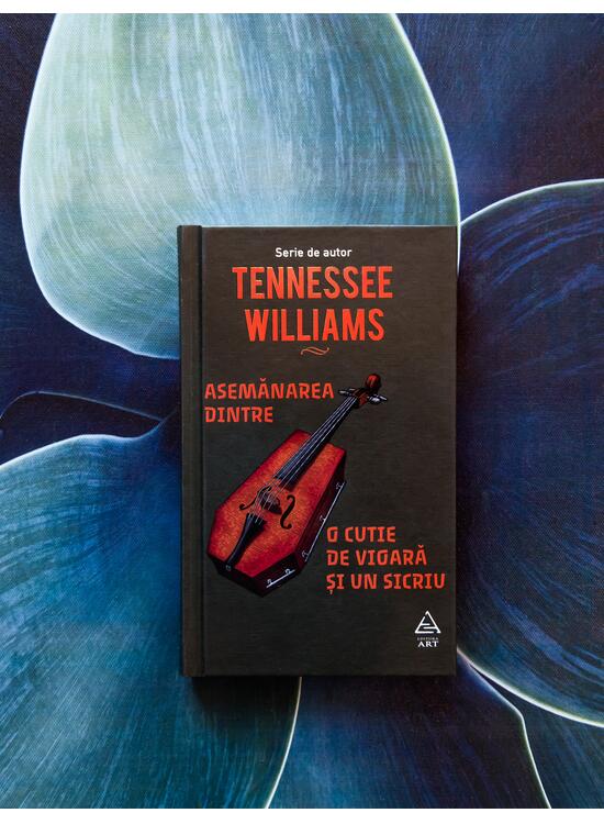 Copertă produs Asemănarea dintre o cutie de vioară și un sicriu - gallery big 4