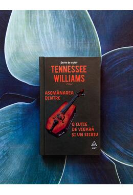 Copertă produs Asemănarea dintre o cutie de vioară și un sicriu