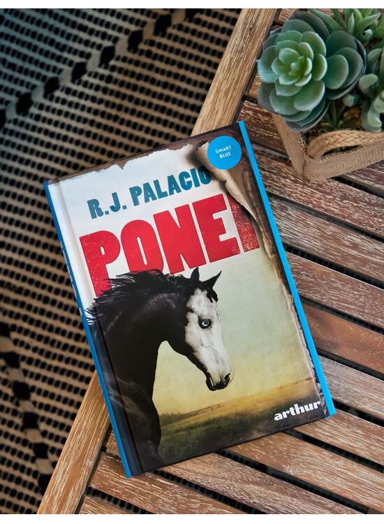 Copertă produs Ponei - gallery big 3