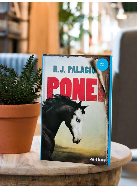 Copertă produs Ponei - gallery big 5