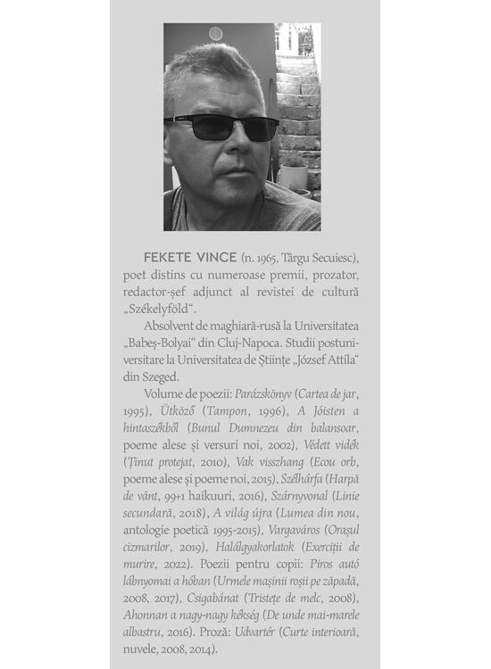 Copertă produs Orașul cizmarilor - gallery big 3