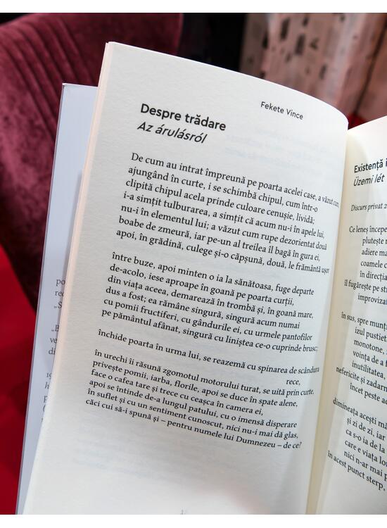 Copertă produs Orașul cizmarilor - gallery big 6