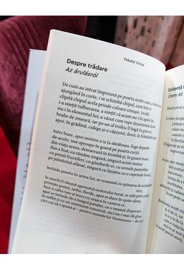 Copertă produs Orașul cizmarilor