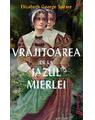 Copertă produs Vrăjitoarea de la Iazul Mierlei | paperback - thumb 1