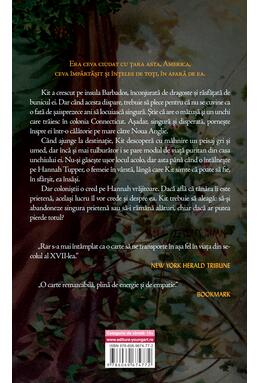 Copertă produs Vrăjitoarea de la Iazul Mierlei | paperback