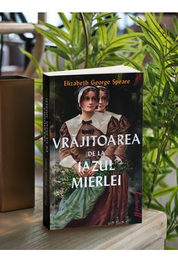 Copertă produs Vrăjitoarea de la Iazul Mierlei | paperback