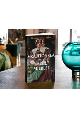 Copertă produs Vrăjitoarea de la Iazul Mierlei | paperback