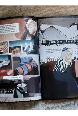 Copertă produs Marie Curie: &icirc;n căutarea luminii