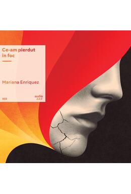 Copertă produs Set cadou "Ce-am pierdut &icirc;n foc" (carte și vinil)