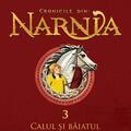 Copertă produs Pachet Integrala Cronicile din Narnia 7 volume - gallery small 