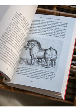 Copertă produs Adevăruri nebănuite despre animale: O menajerie a celor ne&icirc;nțeleși