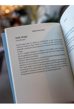 Copertă produs Nopți &icirc;n zen