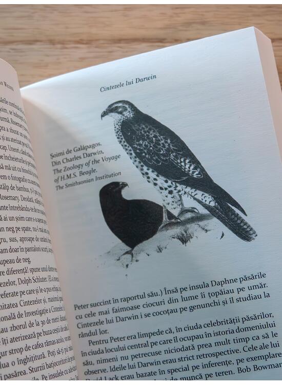 Copertă produs Cintezele lui Darwin - gallery big 4