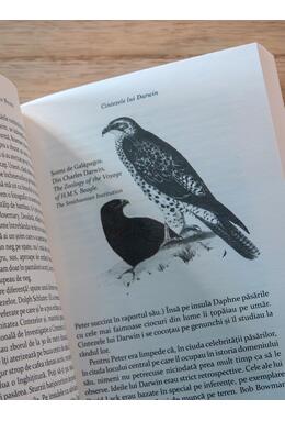 Copertă produs Cintezele lui Darwin