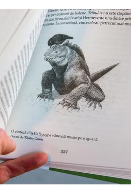 Copertă produs Cintezele lui Darwin