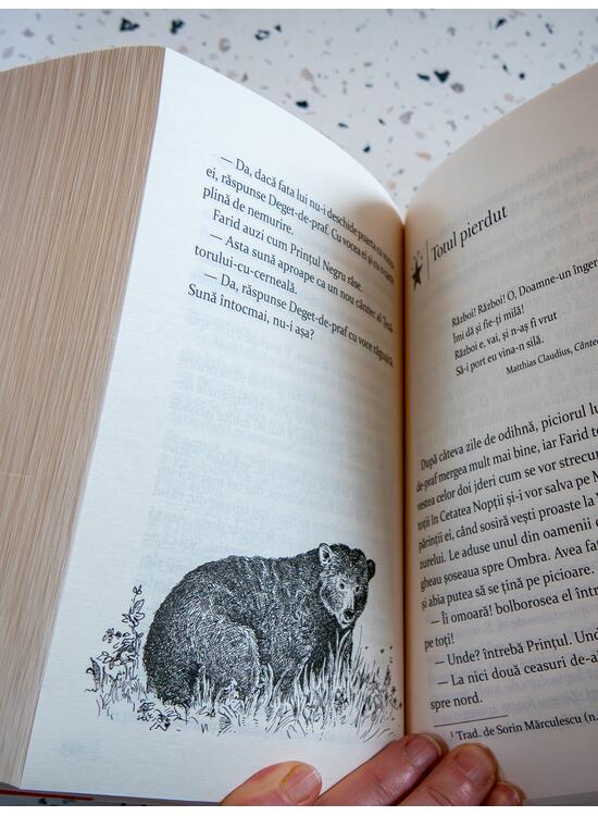 Copertă produs Lumea de cerneală #2. S&acirc;nge de cerneală | paperback - gallery big 4