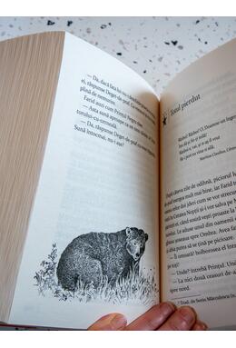 Copertă produs Lumea de cerneală #2. S&acirc;nge de cerneală | paperback