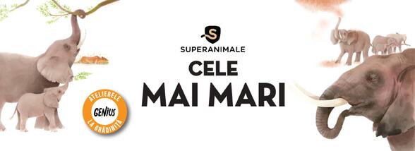Genius la grădiniță #28 Superanimale 1. Cele mai mari