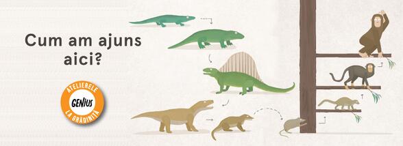 Genius la grădiniță #30 Cum am ajuns aici?