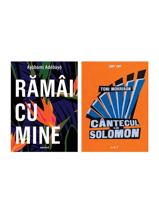 Copertă produs Pachet Black Literature Matters (2 volume) - gallery big 2