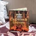 Copertă produs Pachet Crăciun magic Harry Potter ( Crăciun la Hogwarts, Un an magic) - gallery small 