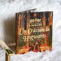 Copertă produs Pachet Crăciun Harry Potter ilustrat ( Crăciun la Hogwarts, Piatra filosofală, ediție ilustrată) - gallery small 