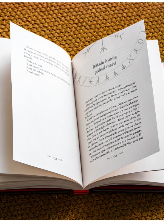 Copertă produs V&acirc;nt spre miazănoapte - gallery big 4