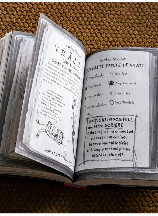 Copertă produs Vrăjitorii de odinioară - gallery big 4