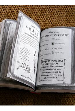 Copertă produs Vrăjitorii de odinioară