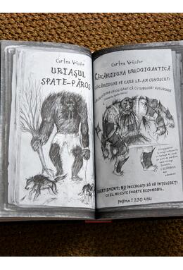 Copertă produs Vrăjitorii de odinioară