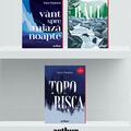 Copertă produs Pachet cărți cu aventuri (Toporişca, R&acirc;ul, V&acirc;nt spre miazănoapte) - gallery small 